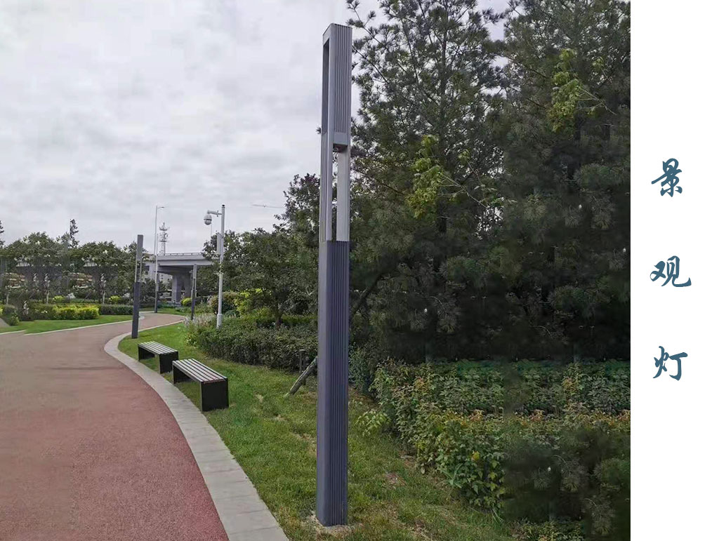 亮化景观灯  JGD-063